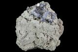 Purple/Gray Fluorite Cluster - Marblehead Quarry Ohio #81171-1